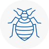 Bed Bug Extermination In Warlingham