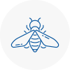 Bee Nest Removal Warlingham