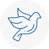 Bird Prevention Warlingham