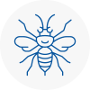Warlingham Hornet Nest Removals
