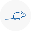 Mice Exterminators In Warlingham