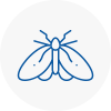 Moth Control Specialists In Warlingham