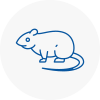 Rat Control Warlingham
