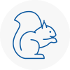 Warlingham Rodent Removals