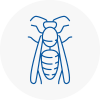 Warlingham Wasp Nest Removal